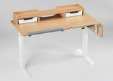 Artificer Pro: Tiltable & Expandable Standing Desk with Double Drawer