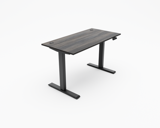 The Advantages of Dual Motor Electric Office Desk