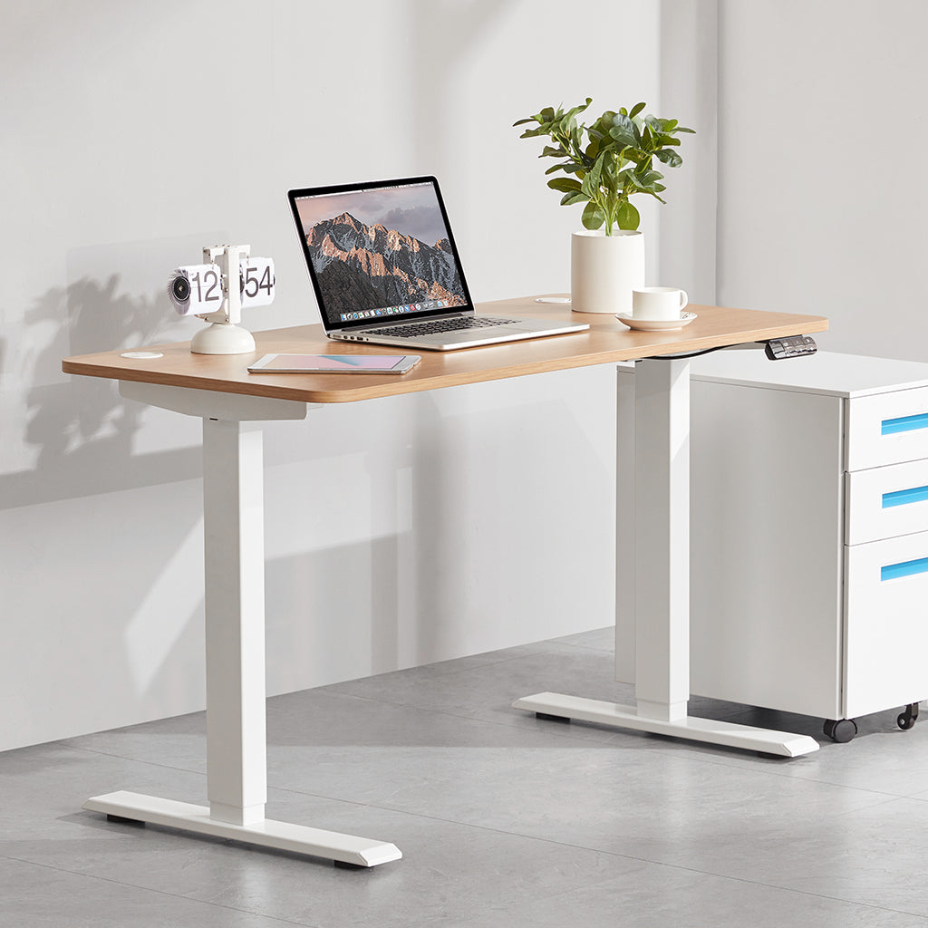 Sunaofe Dual Motor Electric Standing Desk
