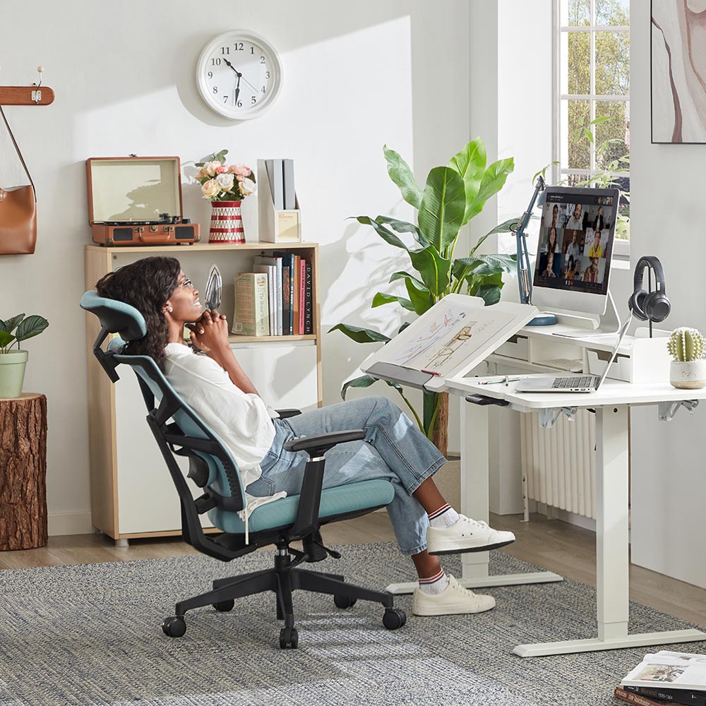 Office Ergonomic Chair for Lower Back Pain