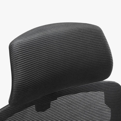 Ergonomic Chair for Lower Back Pain with Headrest