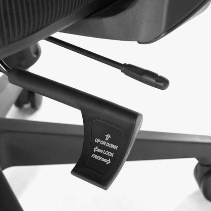 Adjustable Ergonomic Chairs for Lower Back Pain