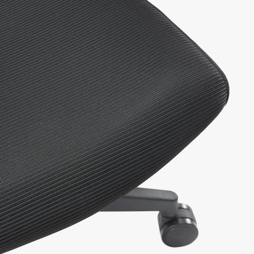 Ergonomic Chair for Lower Back Pain with mesh Sit