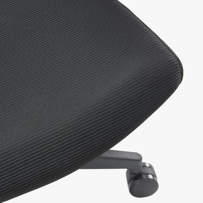 Ergonomic Chair for Lower Back Pain with mesh Sit