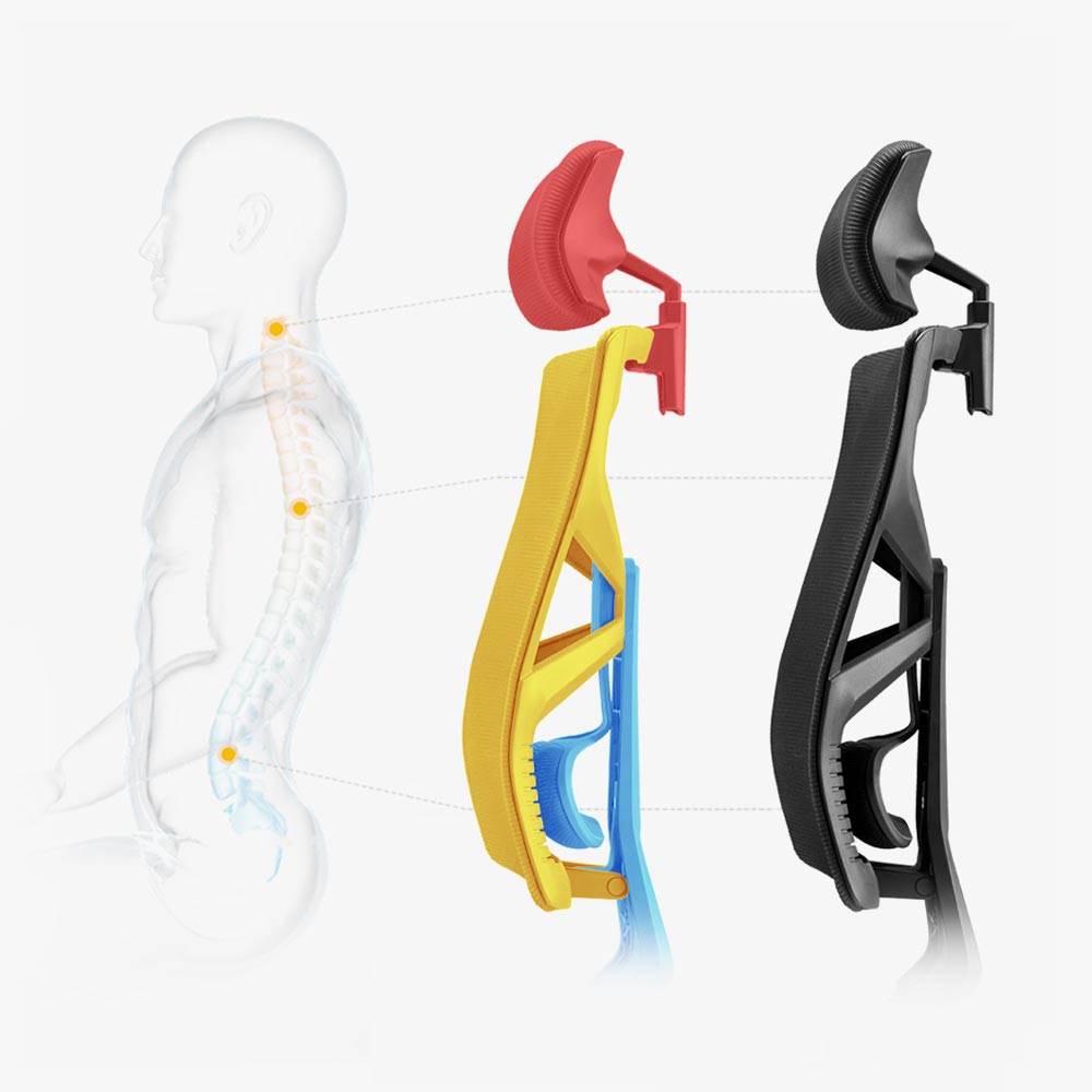 Ergonomic Chairs for Lower Back Pain