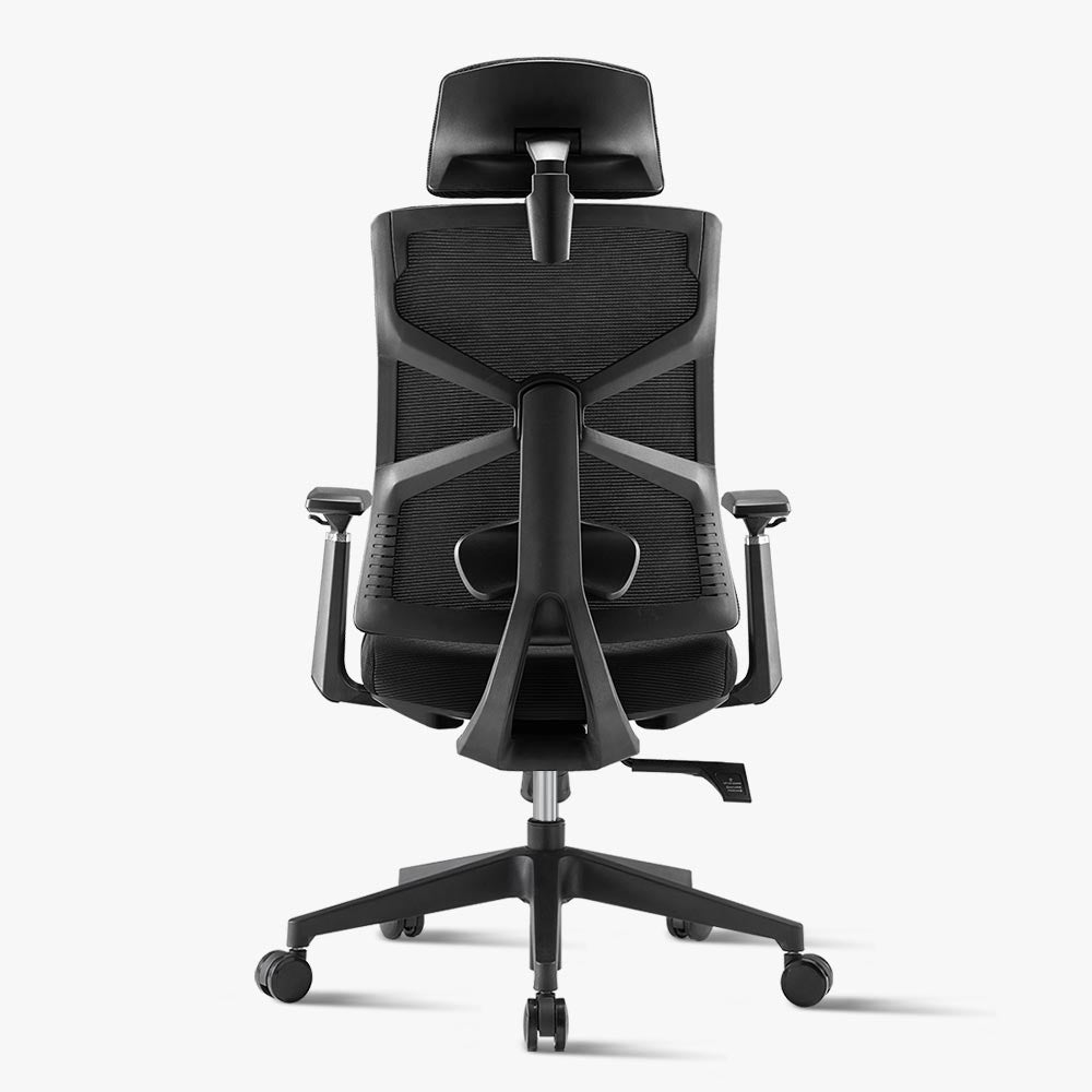 Black Ergonomic Chair for Lower Back Pain