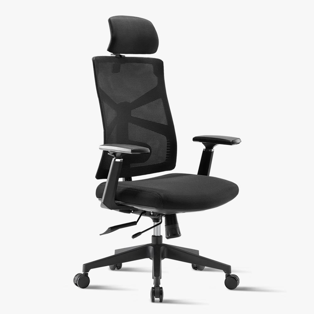 Ergonomic Chair for Lower Back Pain