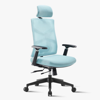 Blue Ergonomic Chair for Lower Back Pain