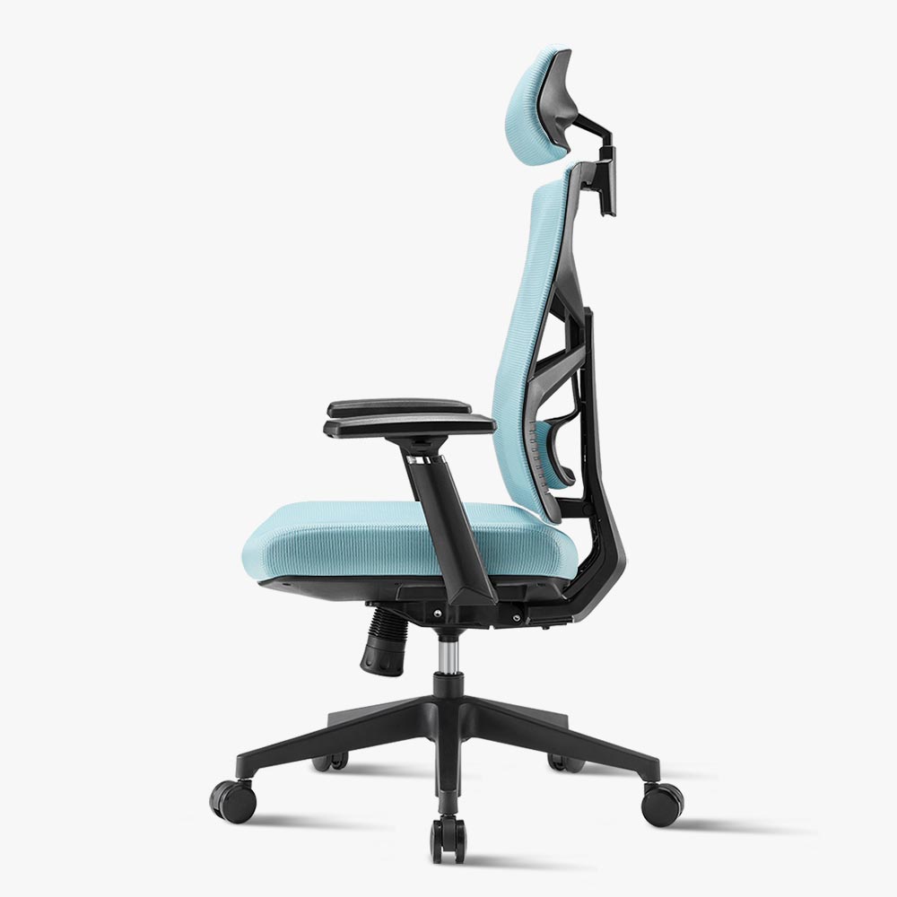 Blue Ergonomic Chairs for Lower Back Pain