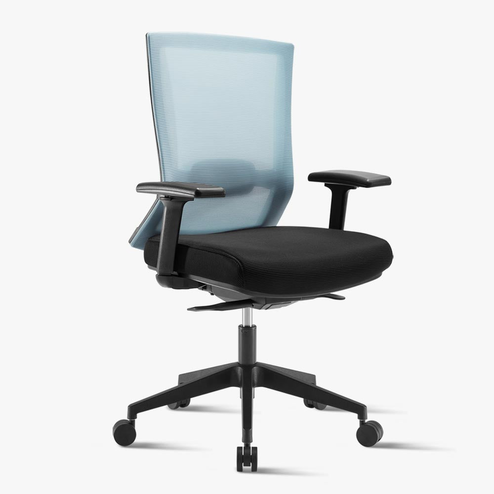 Blue Ergonomic Office Chair