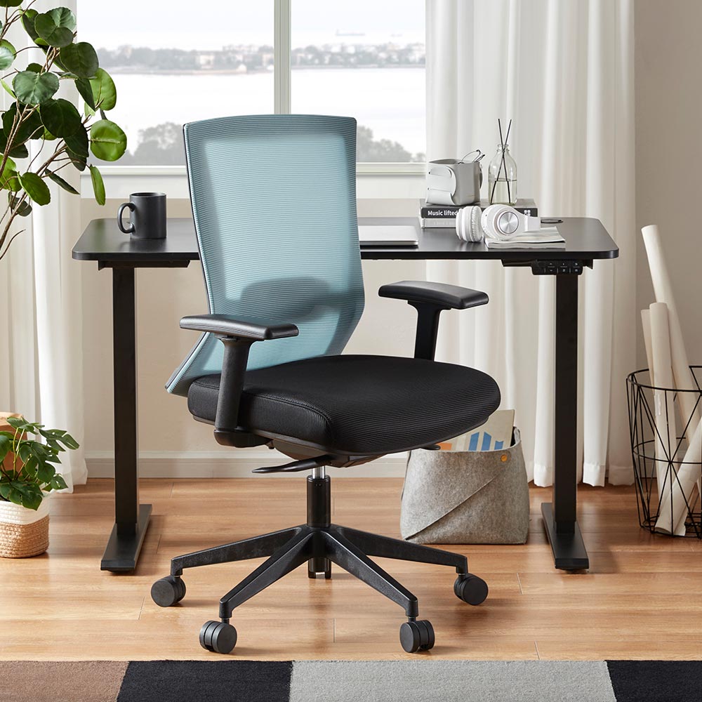 Ergonomic Office Chair with Lumbar Support