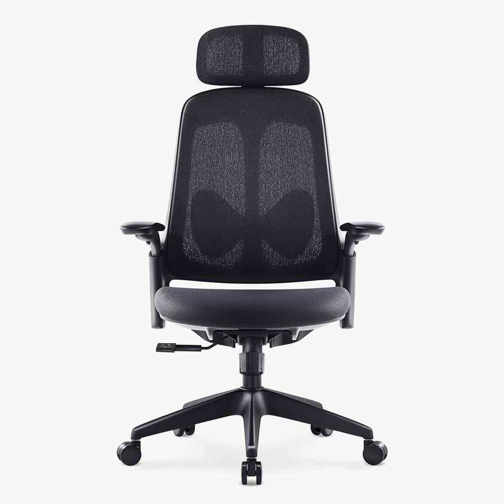 Sunaofe Ergonomic Office Chair Black Mesh Back Front View