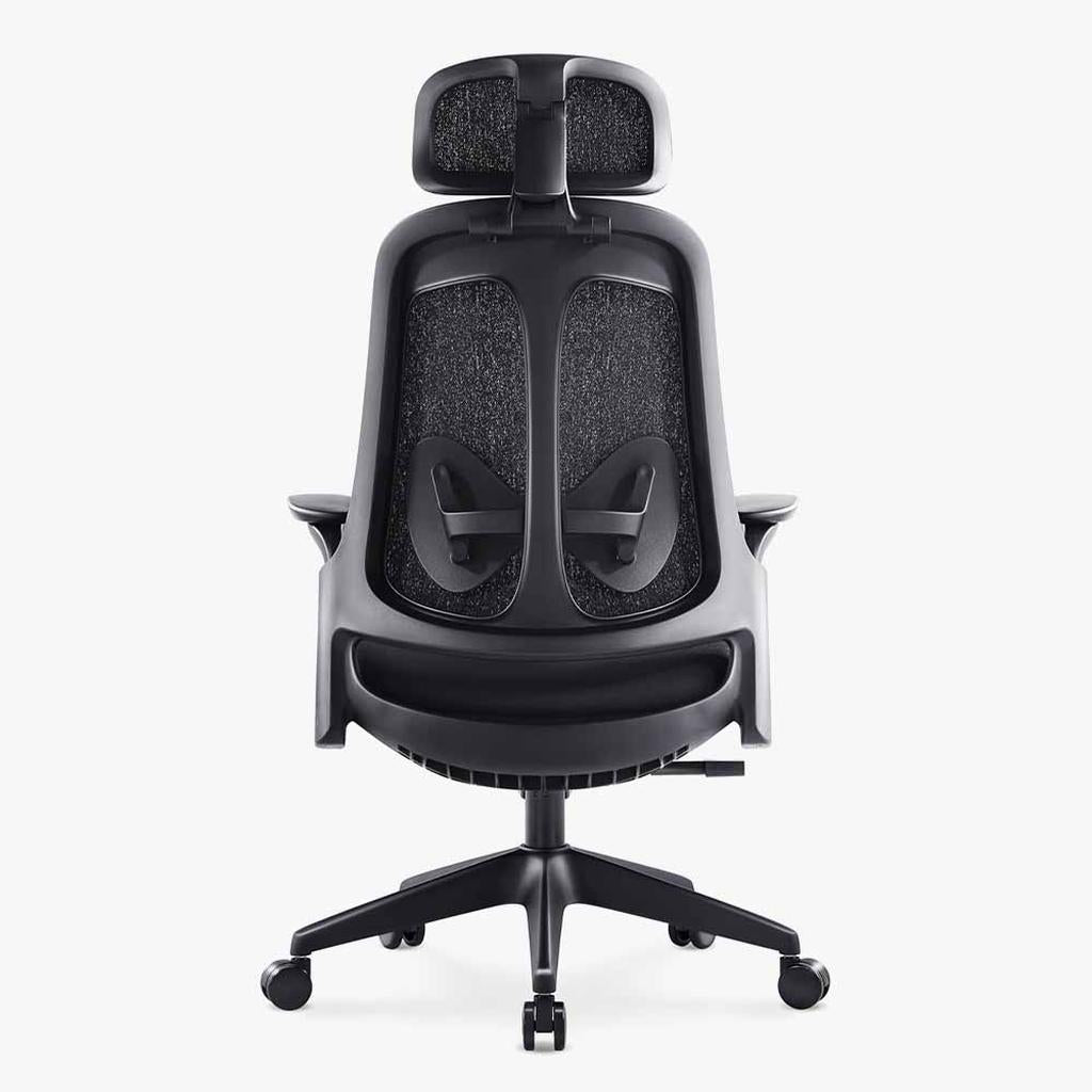 Sunaofe Ergonomic Office Chair Black Mesh Rear View