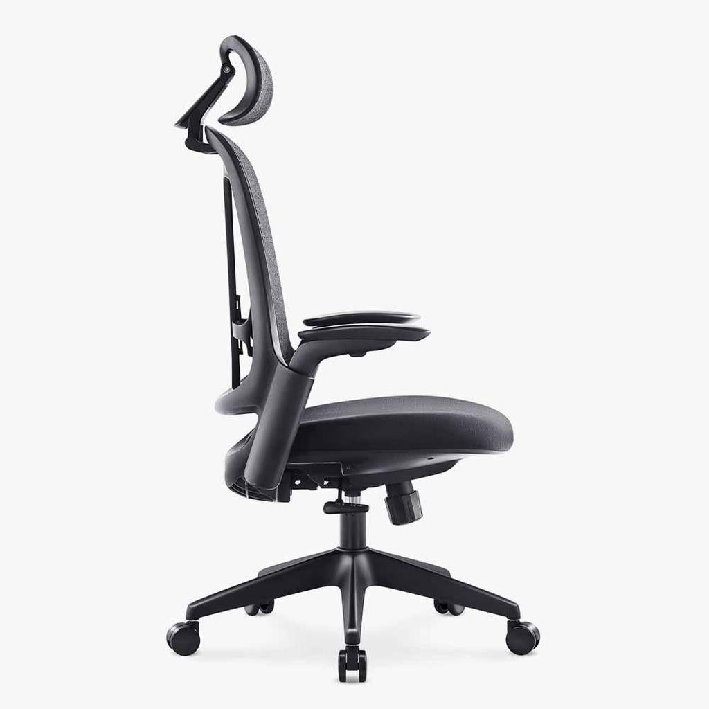 Sunaofe Ergonomic Office Chair Black Mesh Side View