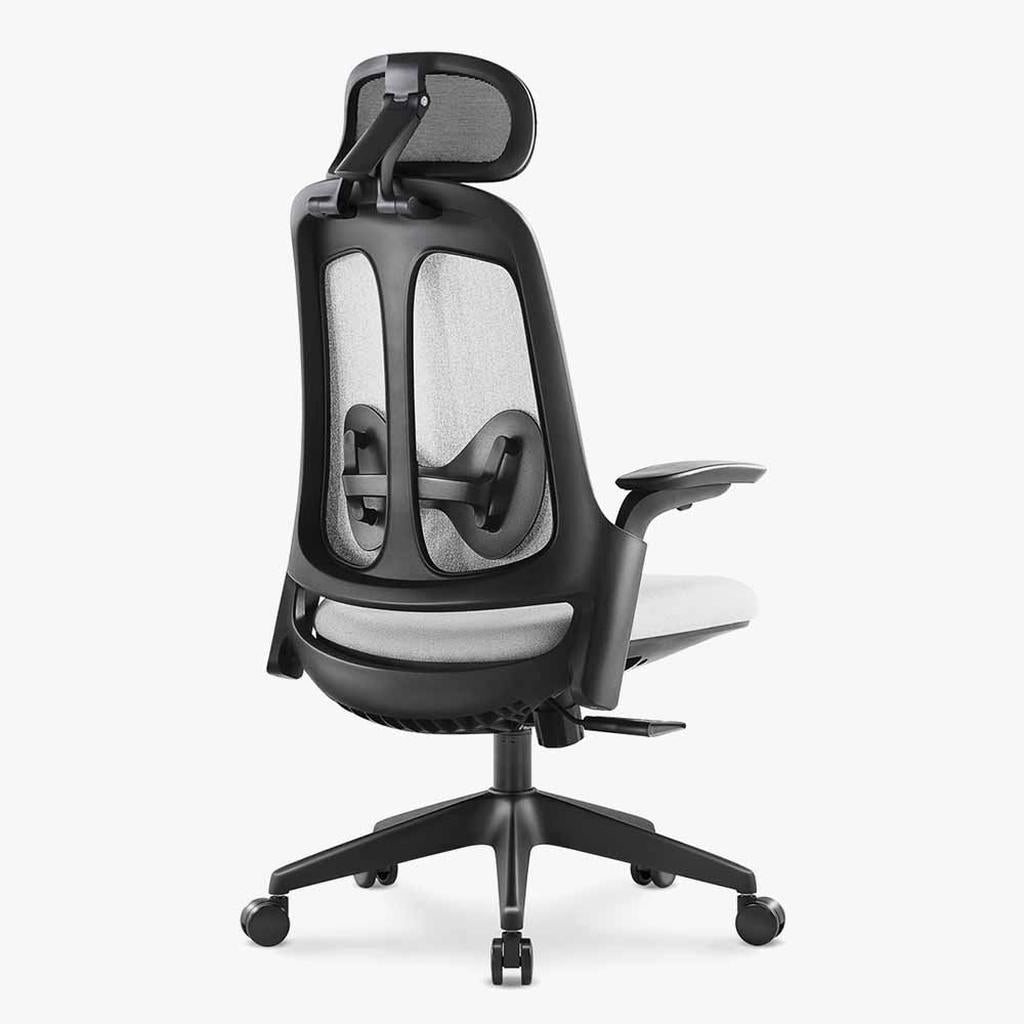 Sunaofe Ergonomic Office Chair Gray Mesh Back View
