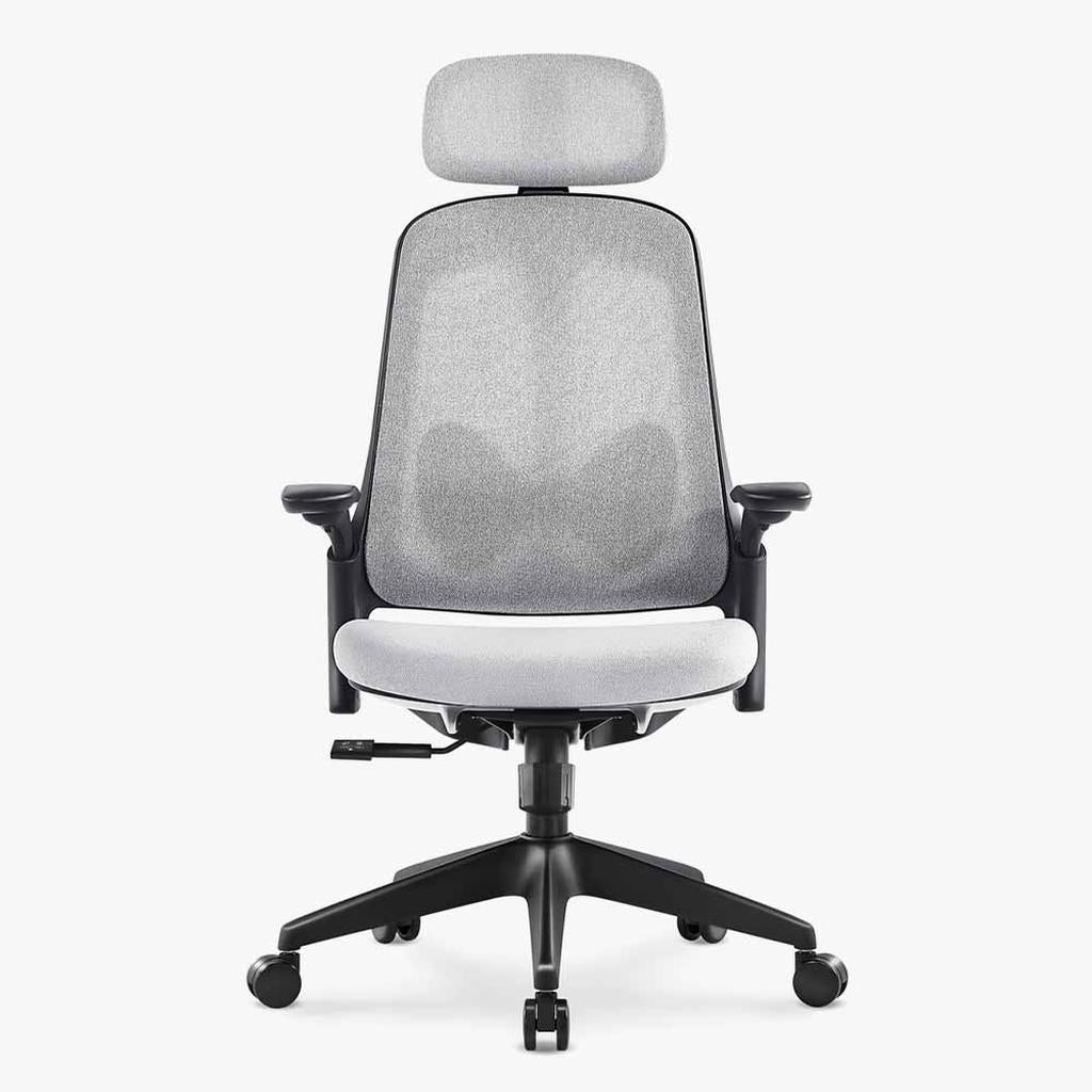 Sunaofe Ergonomic Office Chair Gray Mesh Front View