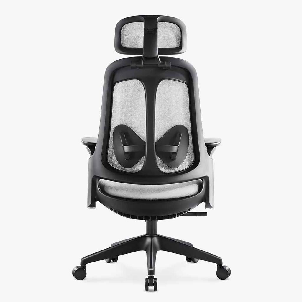 Sunaofe Ergonomic Office Chair Gray Mesh Rear View