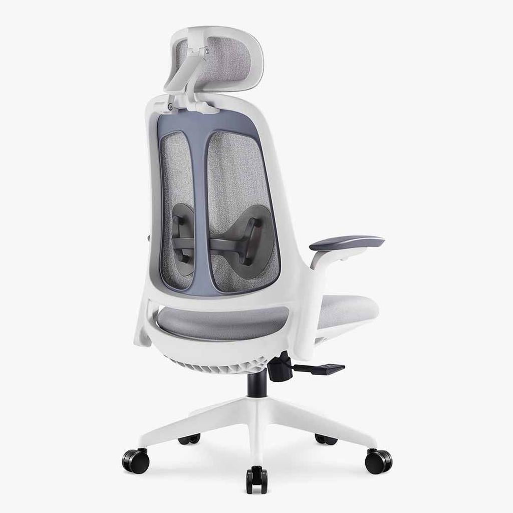 Sunaofe Ergonomic Office Chair Gray White Mesh Back View