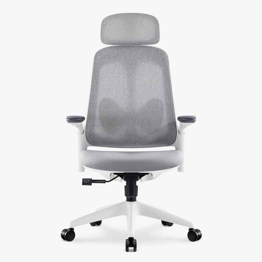Sunaofe Ergonomic Office Chair Gray White Mesh Front View