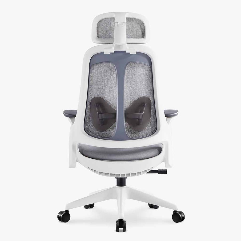 Sunaofe Ergonomic Office Chair Gray White Mesh Rear View