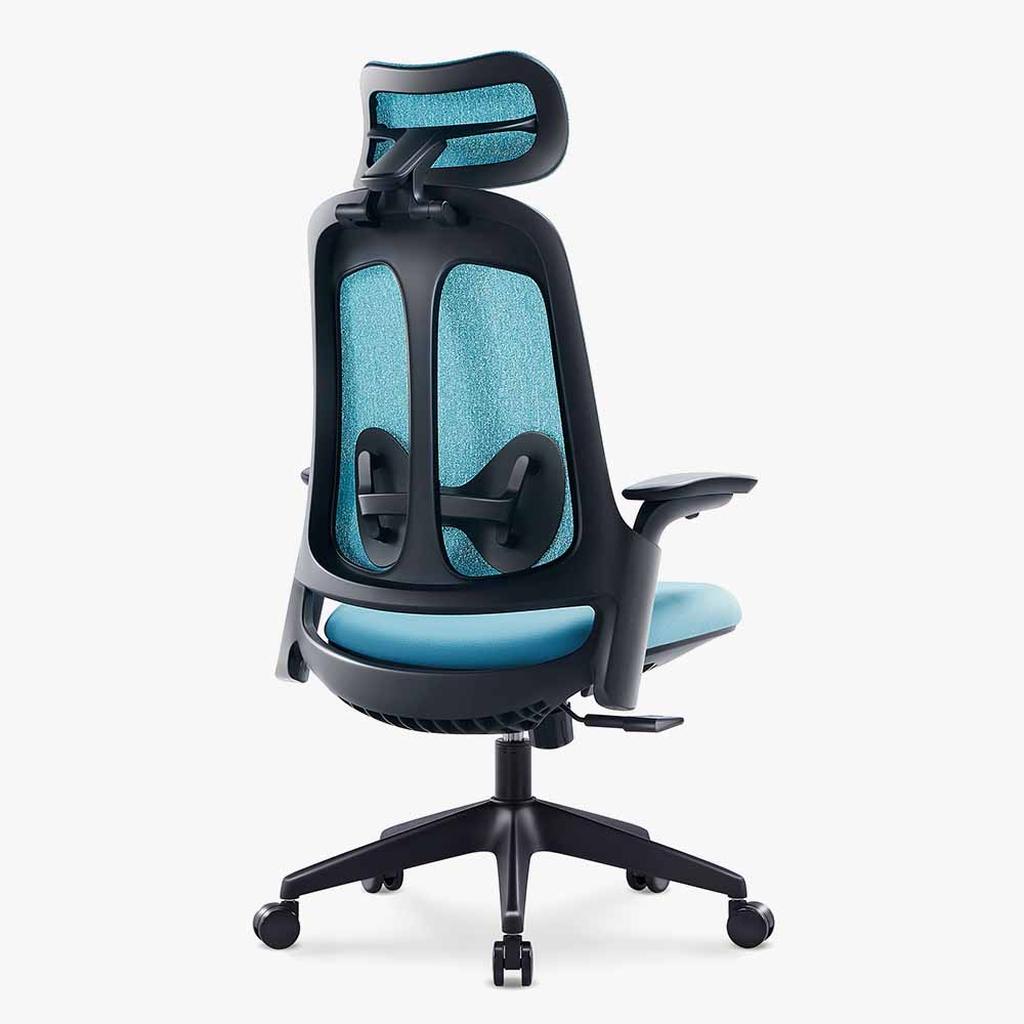 Sunaofe Ergonomic Office Chair Teal Mesh Back View