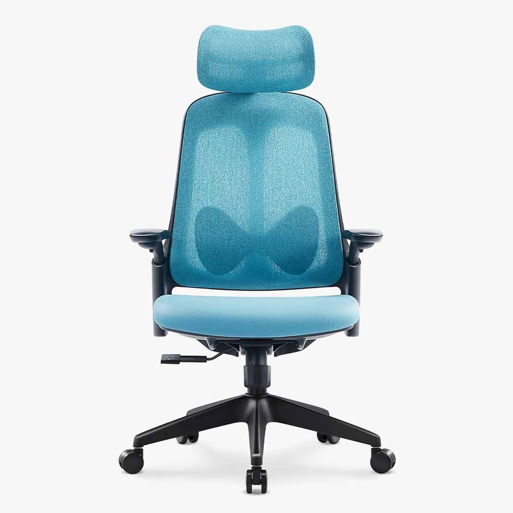 Sunaofe Ergonomic Office Chair Teal Mesh Front View