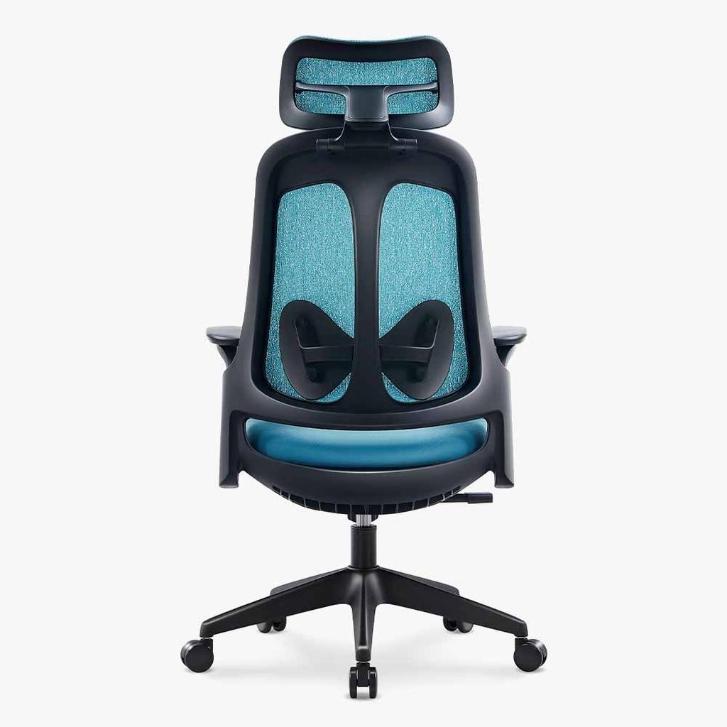 Sunaofe Ergonomic Office Chair Teal Mesh Rear View