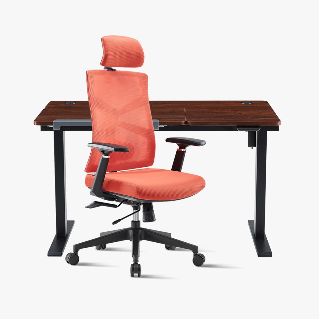 Sunaofe Orange Ergonomic Office Chair and Standing Desk