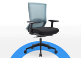 Elite67 Cyan Ergonomic Mesh Chair with Lumbar Support, Adjustable Seat Depth & Height, Armrests, and Tilt & Lock Backrest - Improve Posture and Comfort for Office or Home