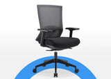 Ergonomic mesh office chair in gray mesh and black seat pan with adjustable features including lumbar support, seat depth, and armrests, designed to improve your posture and reduce back pain.