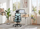 Ergonomic High Back Chair with Lumbar Support: Voyager